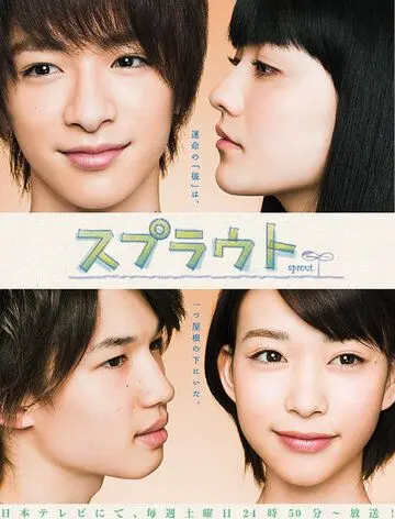 Ростки любви / Supuraito (2012) сериал скачать через торрент в хорошем качестве