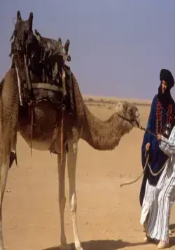 Иштар (1987) в хорошем качестве через торрент Иштар (1987) фильм в хорошем качестве через торрент