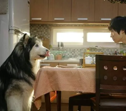 Наш город (2007) через торрент скачать Наш город (2007) фильм через торрент скачать