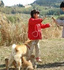 История Мари и трех щенков (2007) через торрент скачать История Мари и трех щенков (2007) фильм через торрент скачать