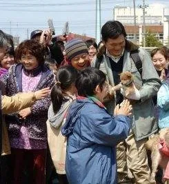 История Мари и трех щенков (2007) в хорошем качестве через торрент История Мари и трех щенков (2007) фильм в хорошем качестве через торрент