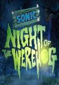 Соник: Ночь ежа-оборотня / Sonic: Night of the Werehog (2008) мультфильм скачать через торрент в хорошем качестве
