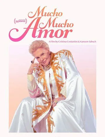 Много-много любви / Mucho Mucho Amor: The Legend of Walter Mercado (2020) фильм скачать через торрент в хорошем качестве