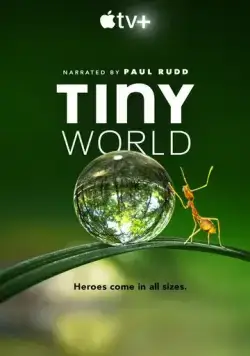 Крошечный мир / Tiny World (2020) сериал скачать через торрент в хорошем качестве