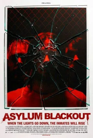 Инцидент / Asylum Blackout (2011) фильм скачать через торрент в хорошем качестве