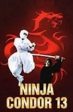 Ниндзя-стервятник / Ninjas, Condors 13 (1987) фильм скачать через торрент в хорошем качестве