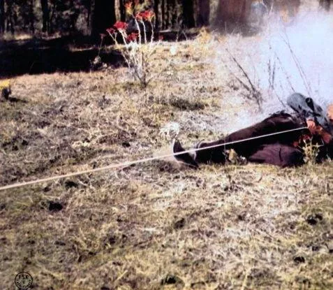 Бравадос (1958) в хорошем качестве через торрент Бравадос (1958) фильм в хорошем качестве через торрент