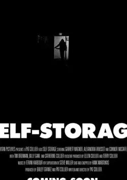 Скачать Камера хранения / Self-Storage (2019) фильм через торрент на русском