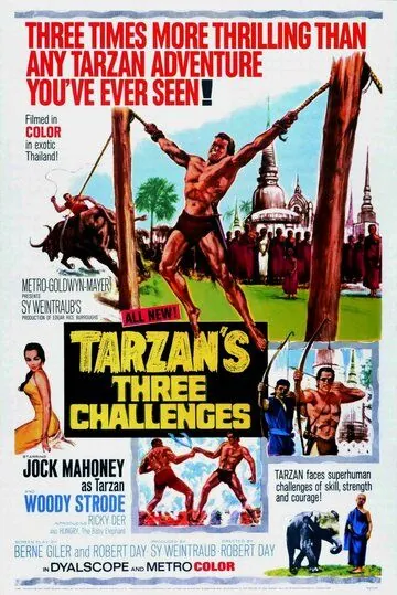 Три испытания Тарзана / Tarzan's Three Challenges (1963) фильм скачать через торрент в хорошем качестве