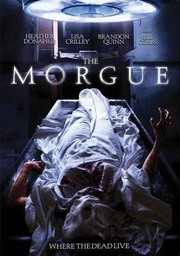 Морг / The Morgue (2008) фильм скачать через торрент в хорошем качестве