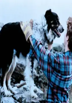 Старина Боб (1998) через торрент скачать Старина Боб (1998) фильм через торрент скачать