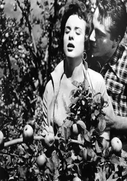 Три монеты в фонтане (1954) через торрент скачать Три монеты в фонтане (1954) фильм через торрент скачать