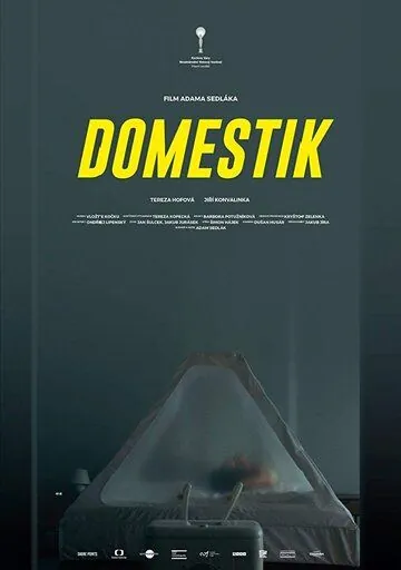 Домашний режим / Domestik (2018) фильм скачать через торрент в хорошем качестве