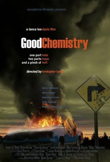 Хорошая химия / Good Chemistry (2008) фильм скачать через торрент в хорошем качестве