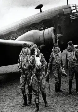 Небесные наездники (1968) через торрент бесплатно Небесные наездники (1968) фильм через торрент бесплатно