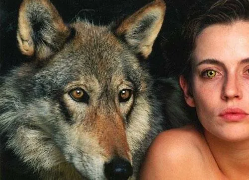 Волчица (1996) через торрент скачать Волчица (1996) сериал через торрент скачать