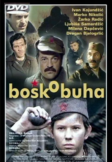 Бошко Буха / Bosko Buha (1978) фильм скачать через торрент в хорошем качестве