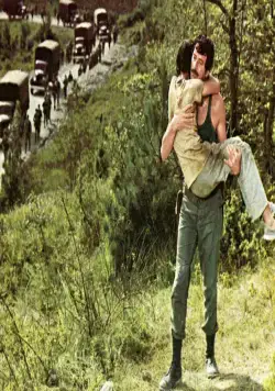 Гнездо шершней (1970) через торрент скачать Гнездо шершней (1970) фильм через торрент скачать