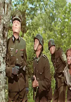 Гнездо шершней (1970) через торрент бесплатно Гнездо шершней (1970) фильм через торрент бесплатно