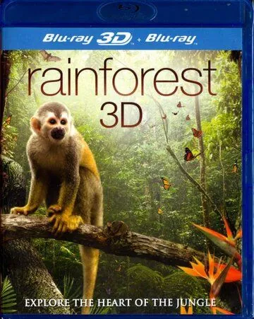 Тропический лес / Fascination Rainforest 3D (2012) фильм скачать через торрент в хорошем качестве