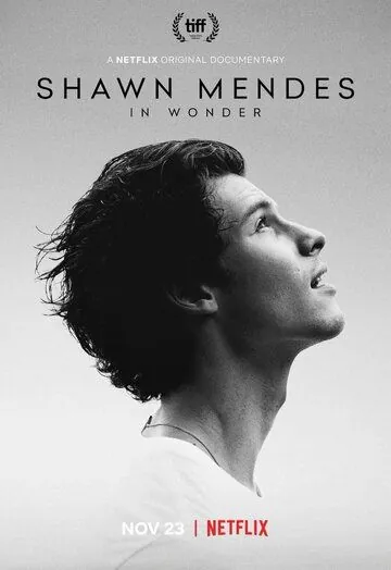 Шон Мендес: In Wonder / Shawn Mendes: In Wonder (2020) фильм скачать через торрент в хорошем качестве