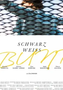 Черный Белый Разноцветный / Schwarz Weiss Bunt (2020) фильм скачать через торрент в хорошем качестве