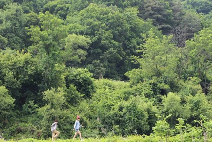 У меня свидание с весной (2018) через торрент скачать У меня свидание с весной (2018) фильм через торрент скачать