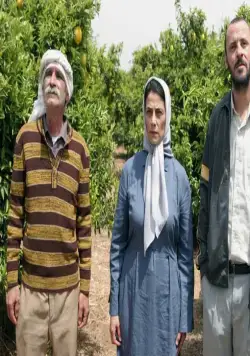 Лимонное дерево (2008) через торрент бесплатно Лимонное дерево (2008) фильм через торрент бесплатно