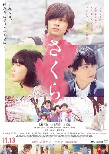 Сакура / Sakura (2020) фильм скачать через торрент в хорошем качестве