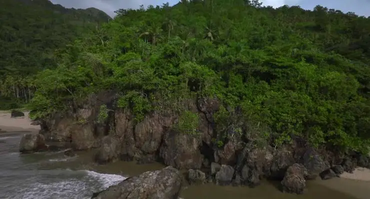 Выжившая (2023) через торрент бесплатно Выжившая (2023) фильм через торрент бесплатно