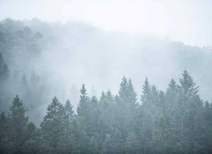 Потомство дьявола (2022) через торрент скачать Потомство дьявола (2022) фильм через торрент скачать