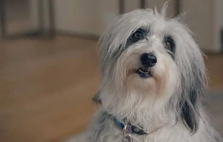 Человек против пчелы (2022) через торрент скачать Человек против пчелы (2022) сериал через торрент скачать