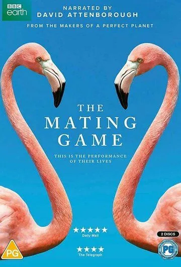 Брачная Игра / The Mating Game (2021) сериал скачать через торрент в хорошем качестве