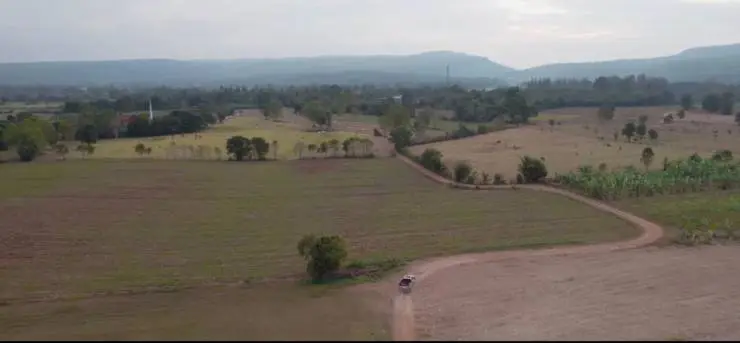 Пушистая братва (2023) через торрент скачать Пушистая братва (2023) фильм через торрент скачать