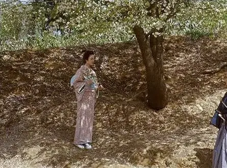 Горная сакура (2008) через торрент скачать Горная сакура (2008) фильм через торрент скачать