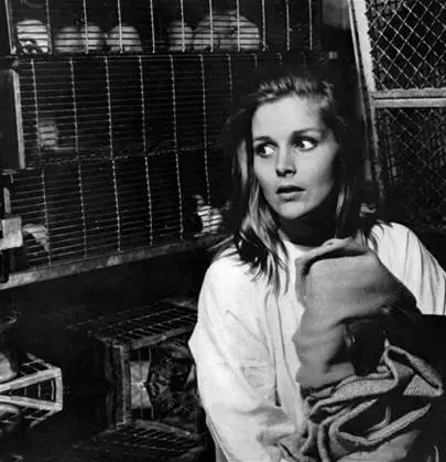 Исчезнувшая Банни Лейк (1965) через торрент бесплатно Исчезнувшая Банни Лейк (1965) фильм через торрент бесплатно