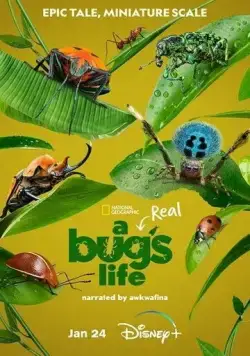 Приключения настоящего Флика / A Real Bug's Life (2024) сериал скачать через торрент в хорошем качестве
