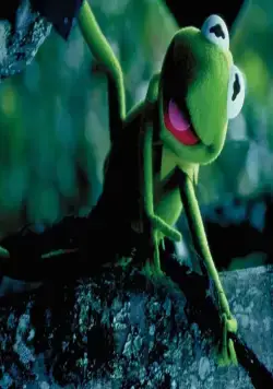 Лягушонок Кермит: Годы в болоте (2002) в хорошем качестве через торрент Лягушонок Кермит: Годы в болоте (2002) фильм в хорошем качестве через торрент