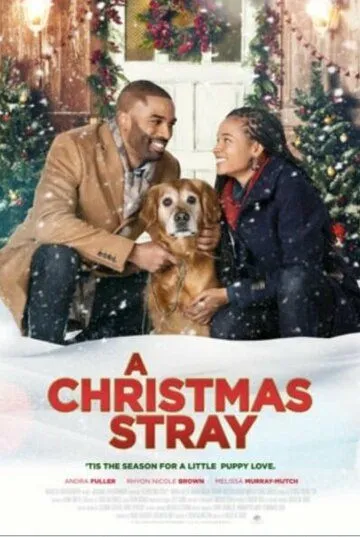 Рождественская дворняжка / A Christmas Stray (2021) фильм скачать через торрент в хорошем качестве