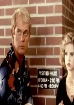 Грэндвью, США (1984) через торрент скачать Грэндвью, США (1984) фильм через торрент скачать