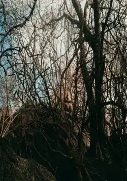 Лохматые предки (2024) через торрент бесплатно Лохматые предки (2024) фильм через торрент бесплатно