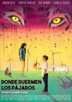 Там, где спят птицы / Donde duermen los pájaros (2022) фильм скачать через торрент в хорошем качестве