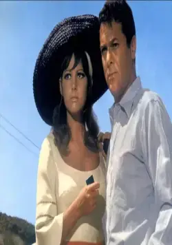 Не гони волну (1967) в хорошем качестве через торрент Не гони волну (1967) фильм в хорошем качестве через торрент