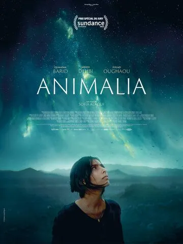 Анималия / Animalia (2023) фильм скачать через торрент в хорошем качестве