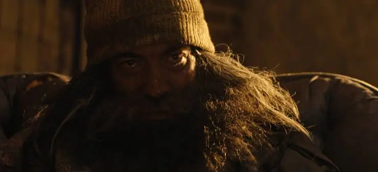 Сталкер. Черная плесень (2023) через торрент бесплатно Сталкер. Черная плесень (2023) фильм через торрент бесплатно