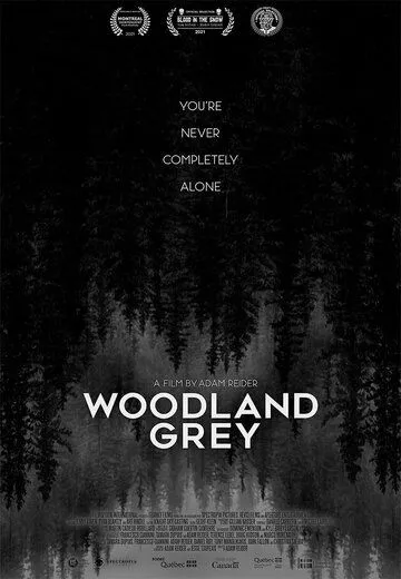 Серый лес / Woodland Grey (2021) фильм скачать через торрент в хорошем качестве