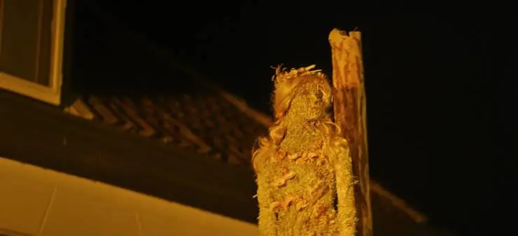 Молох (2022) через торрент скачать Молох (2022) фильм через торрент скачать