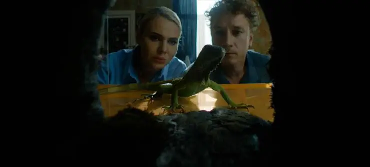 Волшебники (2022) через торрент скачать Волшебники (2022) фильм через торрент скачать