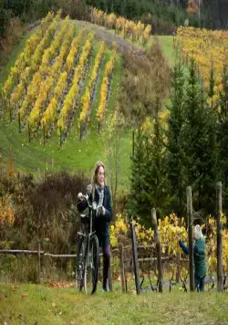 Погоня за счастьем (2021) в хорошем качестве через торрент Погоня за счастьем (2021) фильм в хорошем качестве через торрент