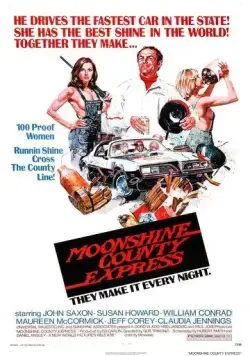 Экспресс в Лунном округе / Moonshine County Express (1977) фильм скачать через торрент в хорошем качестве